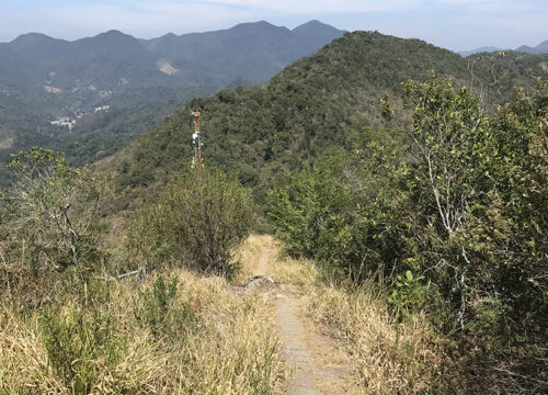 Pico do Imperador – Nova Friburgo