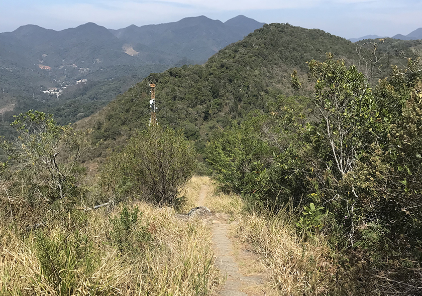 Pico do Imperador – Nova Friburgo