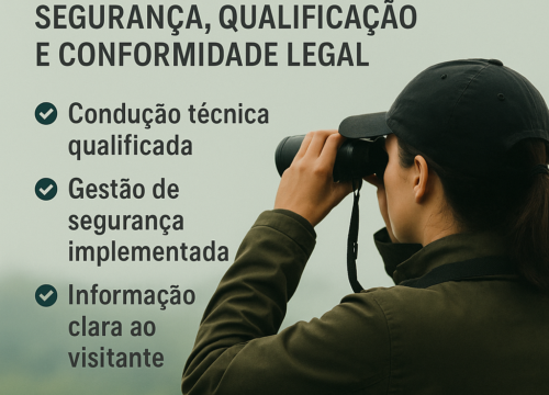Segurança, Qualificação e Conformidade Legal no Turismo de Observação de Aves: Aplicação Prática do Art. 34 do Decreto 7.381/2010